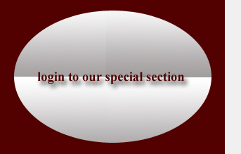 LC Computer Services